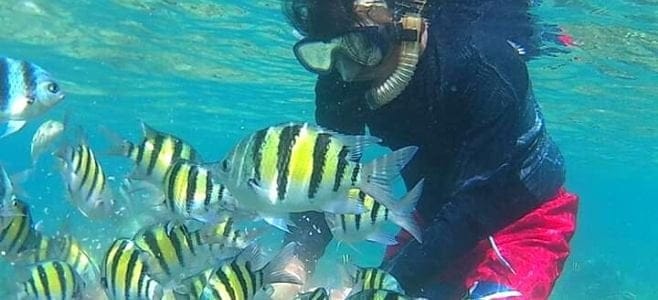 Spot Snorkeling Wisata Pulau Pari Kepulauan Seribu